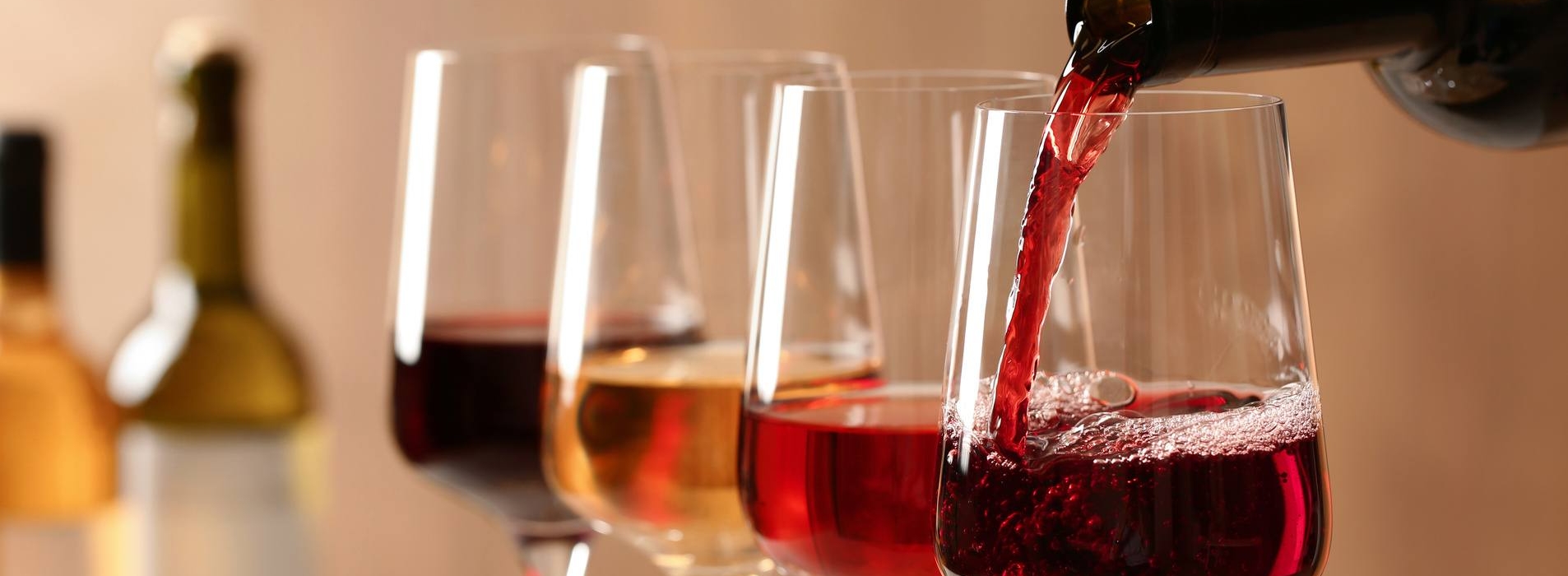 Caviste et Négociant en Vins